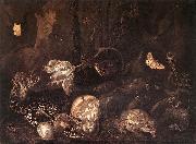 SCHRIECK, Otto Marseus van Still-Life with Insects and Amphibians ar Sweden oil painting artist